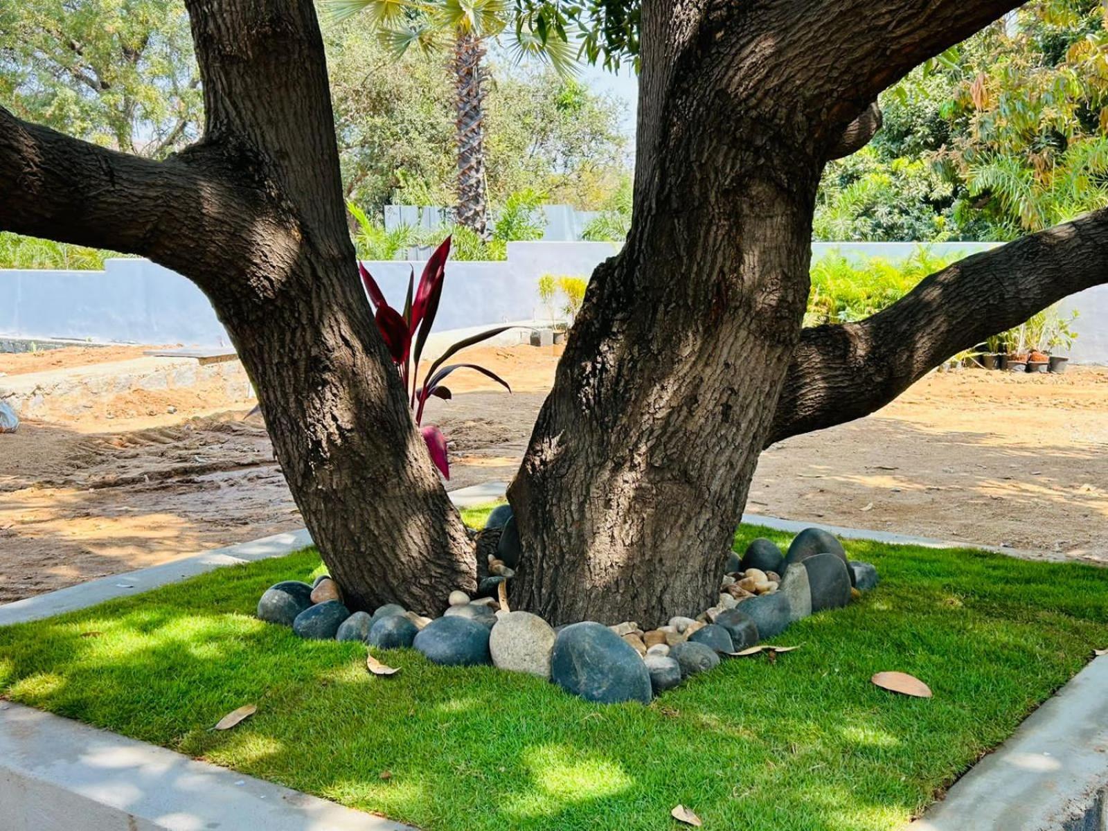 Hampi Village Resort & Tutti Cafe Εξωτερικό φωτογραφία