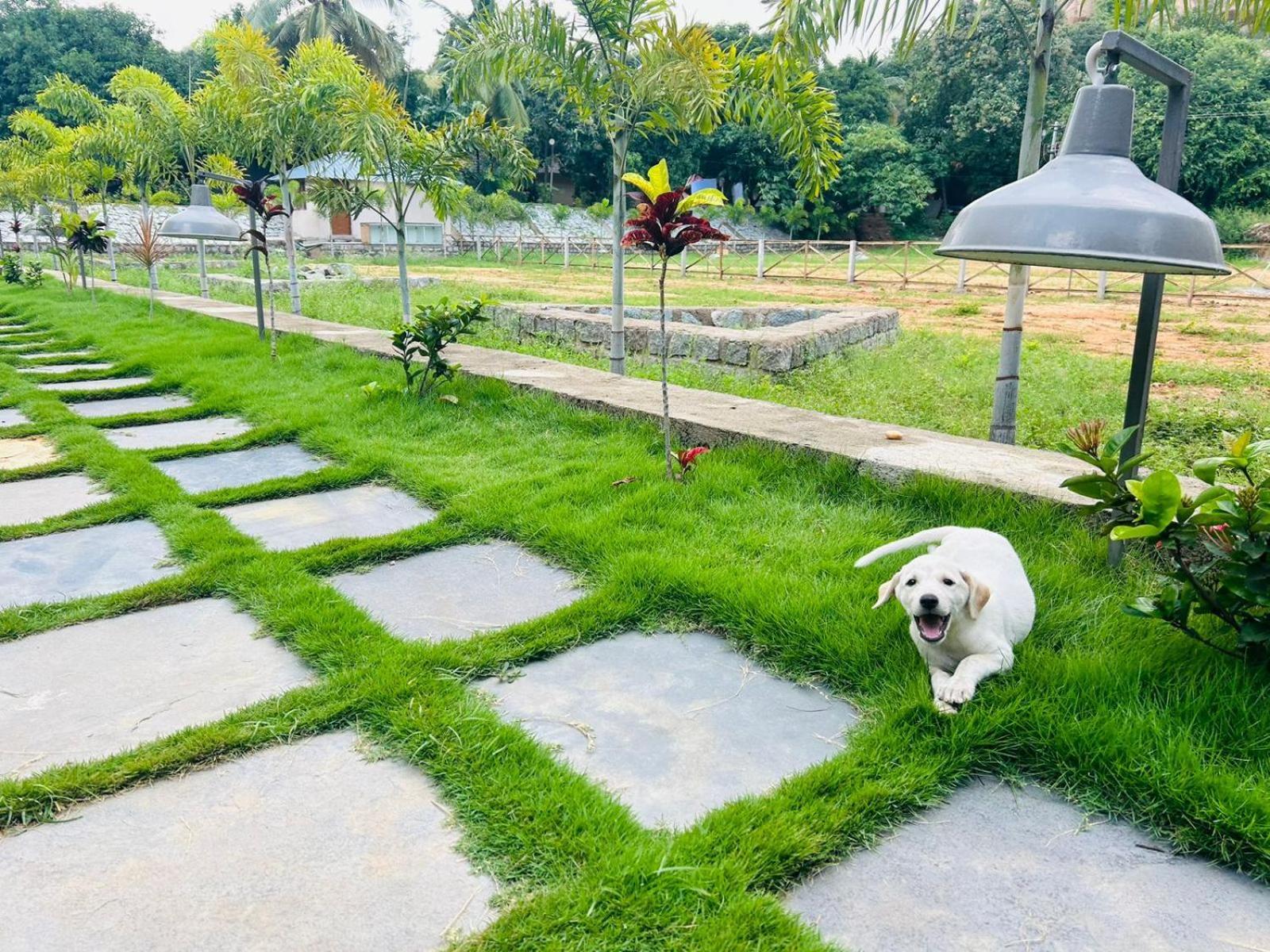 Hampi Village Resort & Tutti Cafe Εξωτερικό φωτογραφία