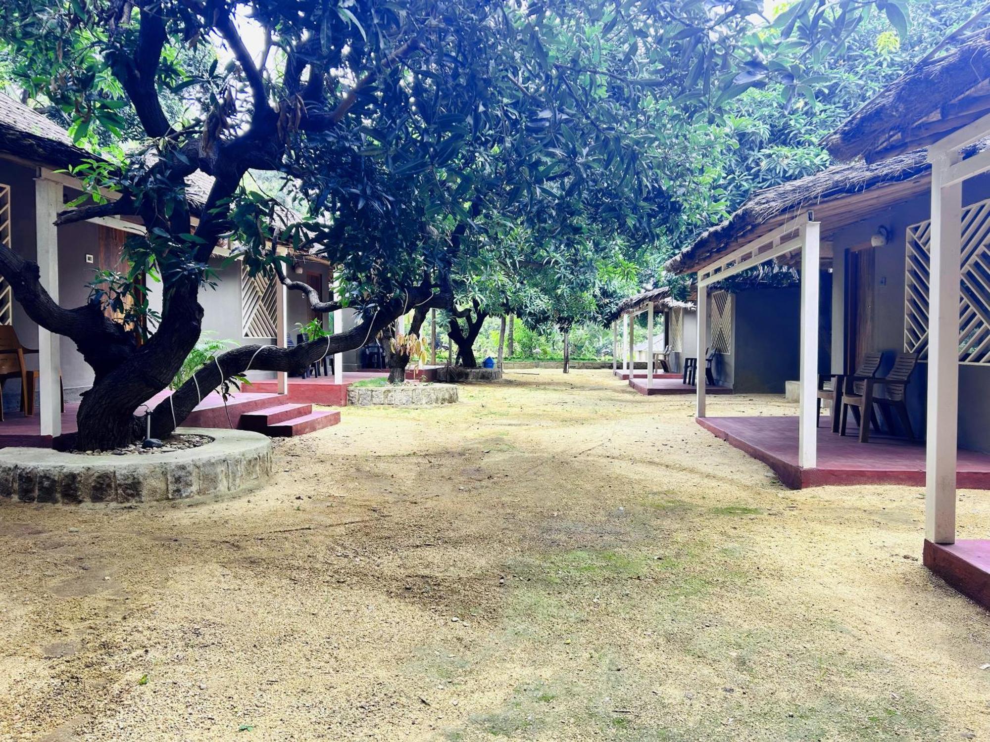 Hampi Village Resort & Tutti Cafe Εξωτερικό φωτογραφία